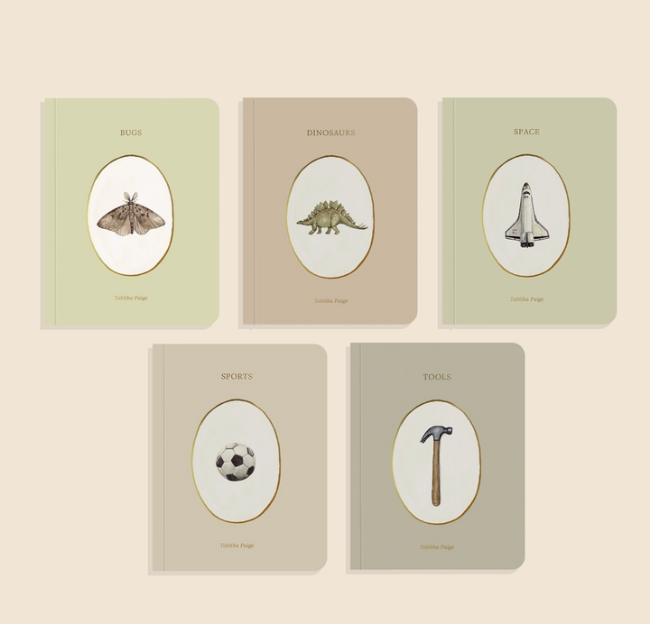 BOARD BOOK "LITTLE LIBRARY VOL. 3 " SET/5