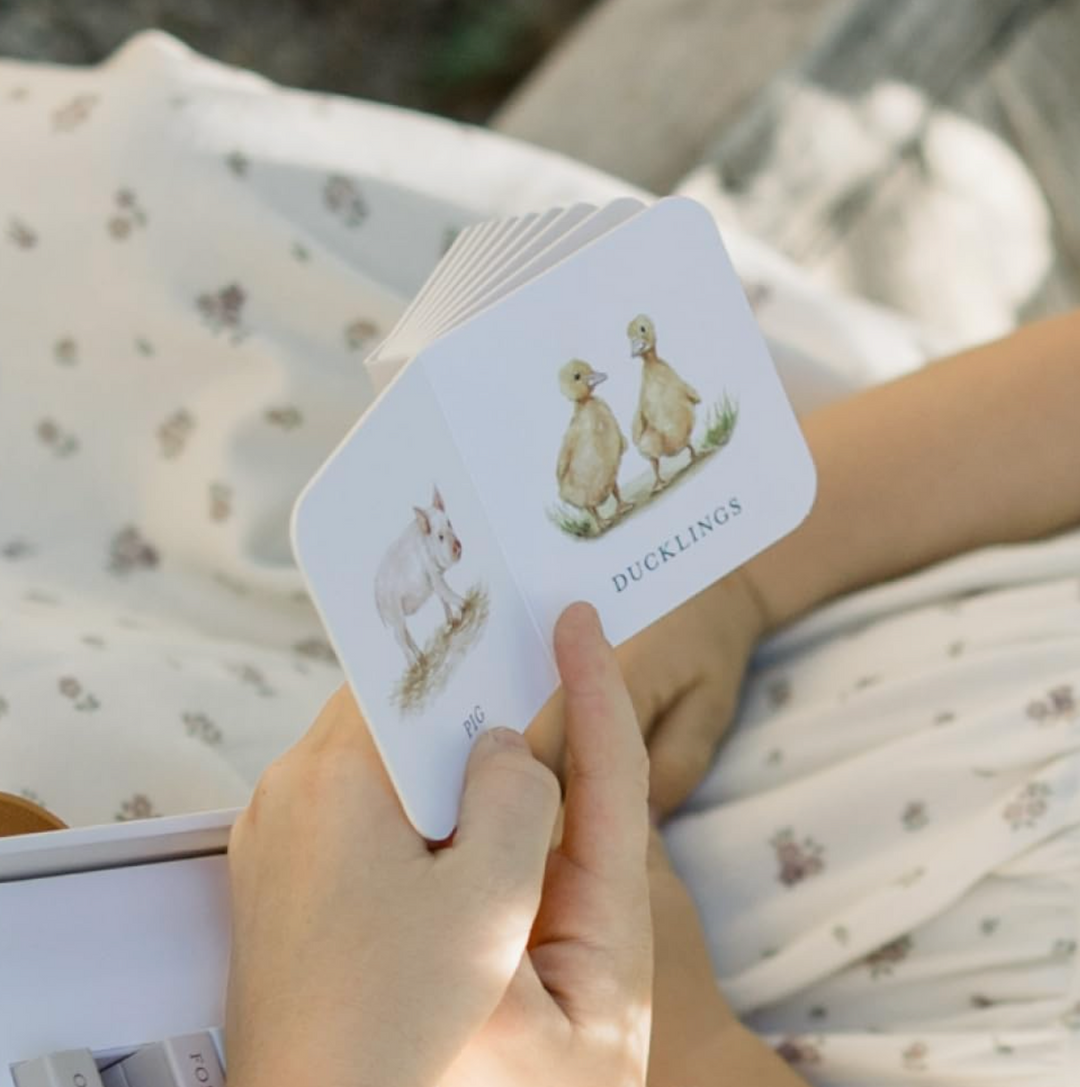 BOARD BOOK "VERY LITTLE LIBRARY" SET/10