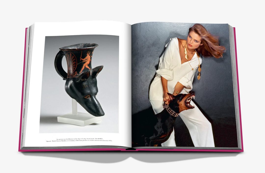 BOOK "CHIC DOGS"