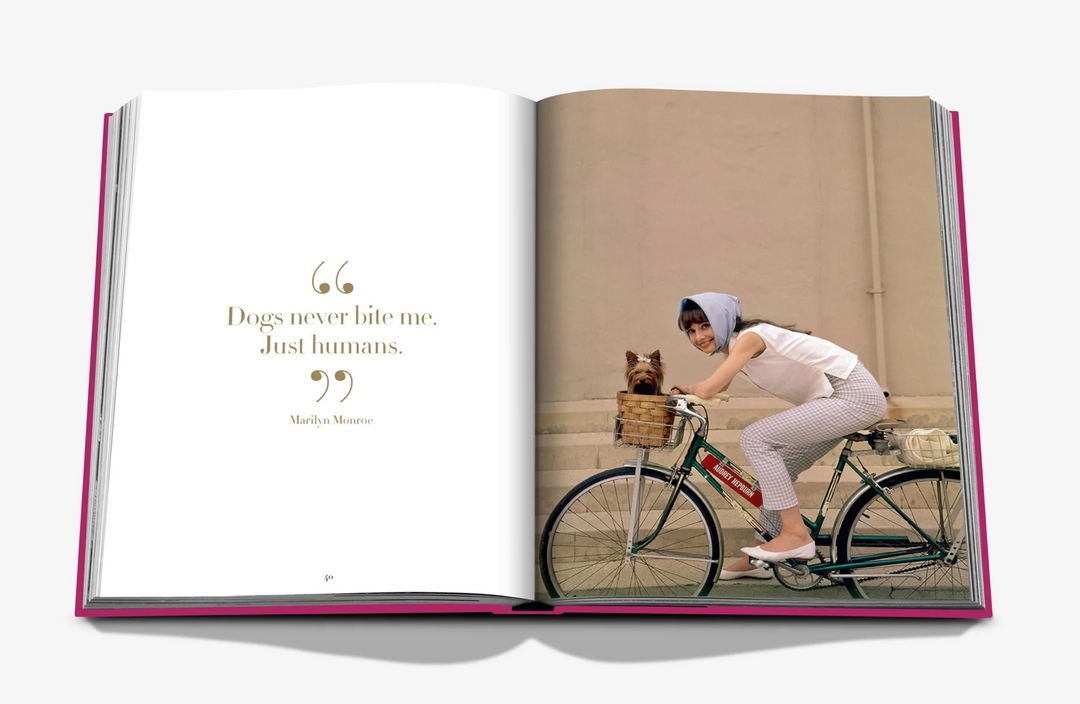 BOOK "CHIC DOGS"