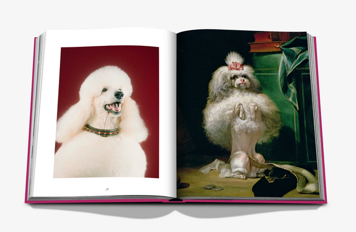 BOOK "CHIC DOGS"