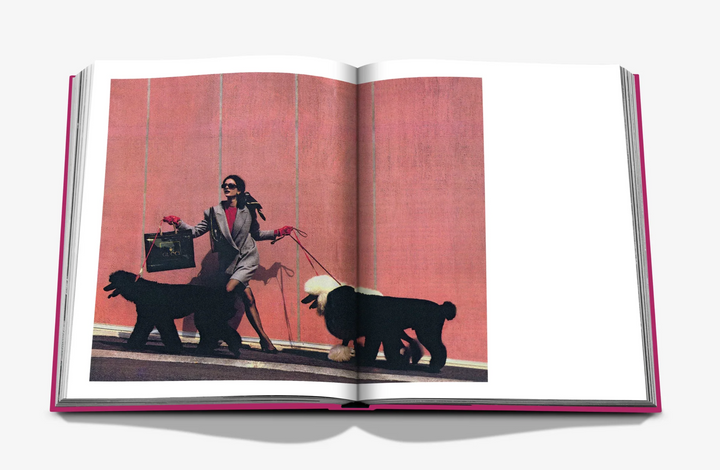 BOOK "CHIC DOGS"