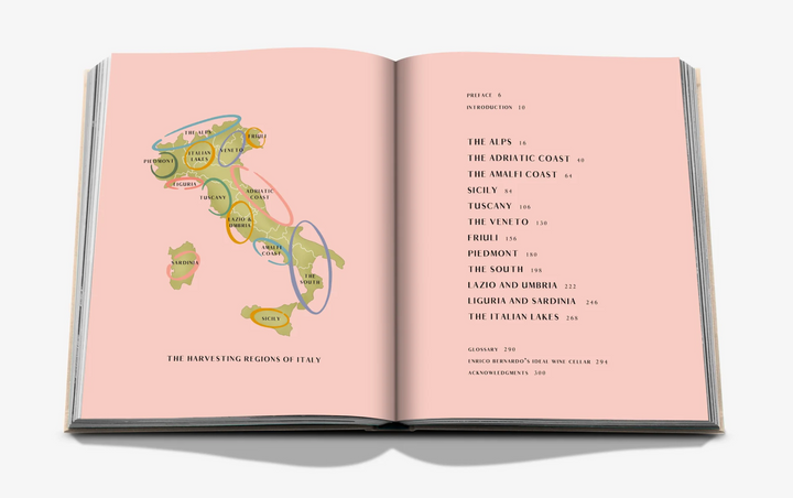 BOOK "WINE & TRAVEL ITALY"