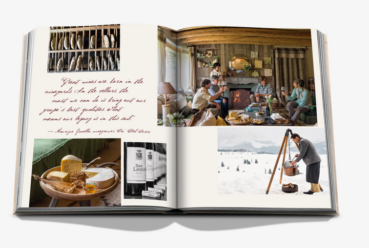 BOOK "WINE & TRAVEL ITALY"