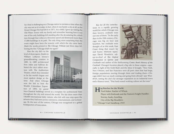 BOOK "CHICAGO COCKTAILS"