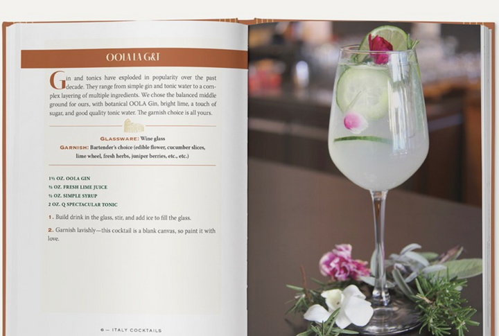 BOOK "ITALY COCKTAILS"