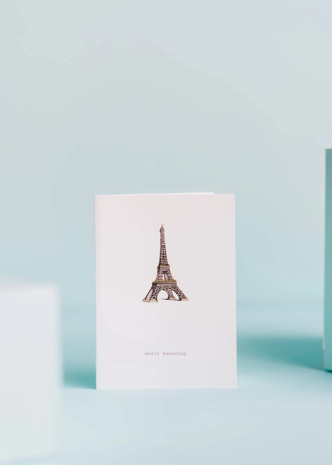 GREETING CARD "MERCI BEAUCOUP" #22833