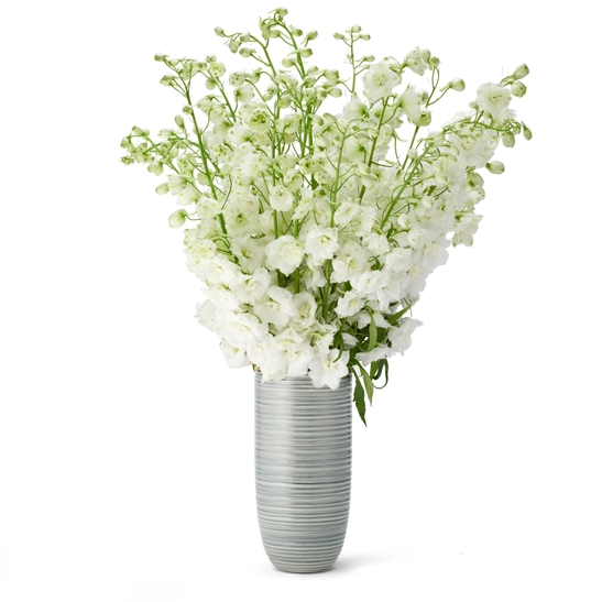 AERIN VASE CALINDA TALL (Available in 3 Colors)