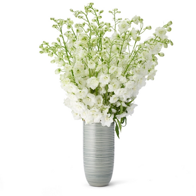 AERIN VASE CALINDA TALL (Available in 3 Sizes)