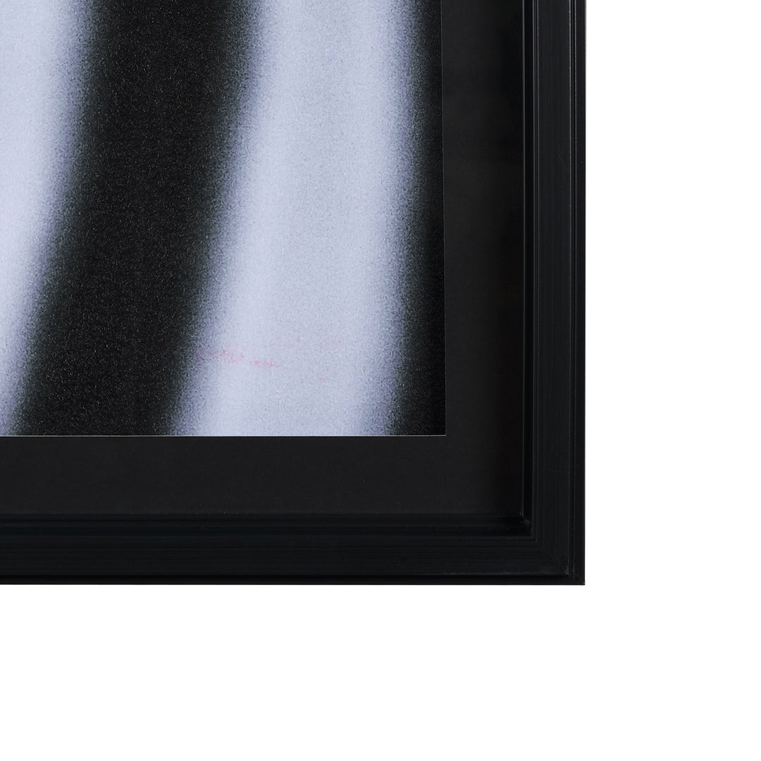 ART ZEBRA'S EYE #70377