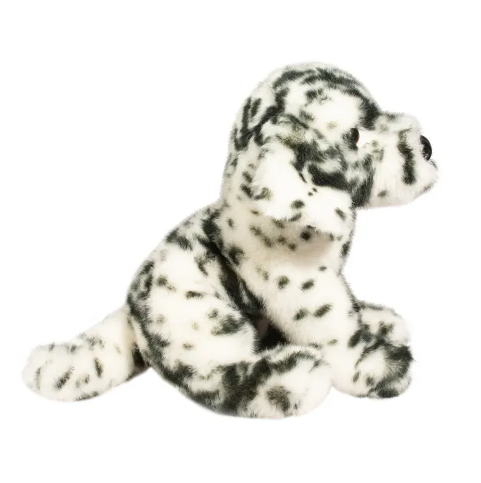 TOY DALMATIAN PUPPY