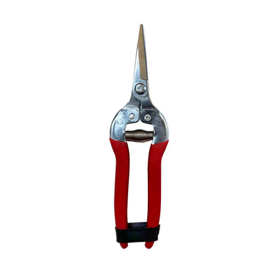 GARDEN SHEARS NEEDLE NOSE