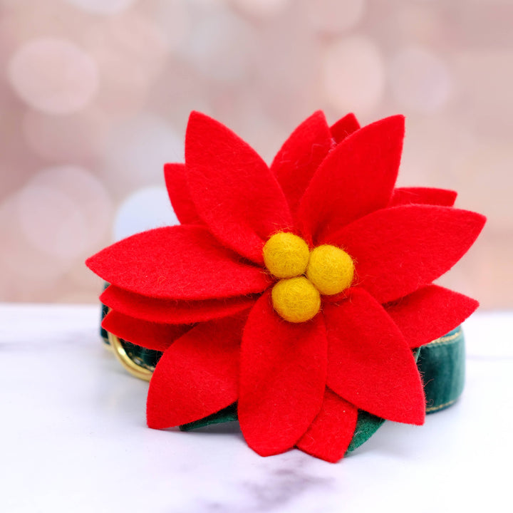DOG COLLAR FLOWER POINSETTIA