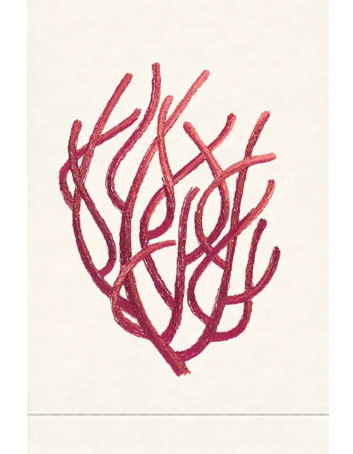 GUEST TOWEL CORAL #71365