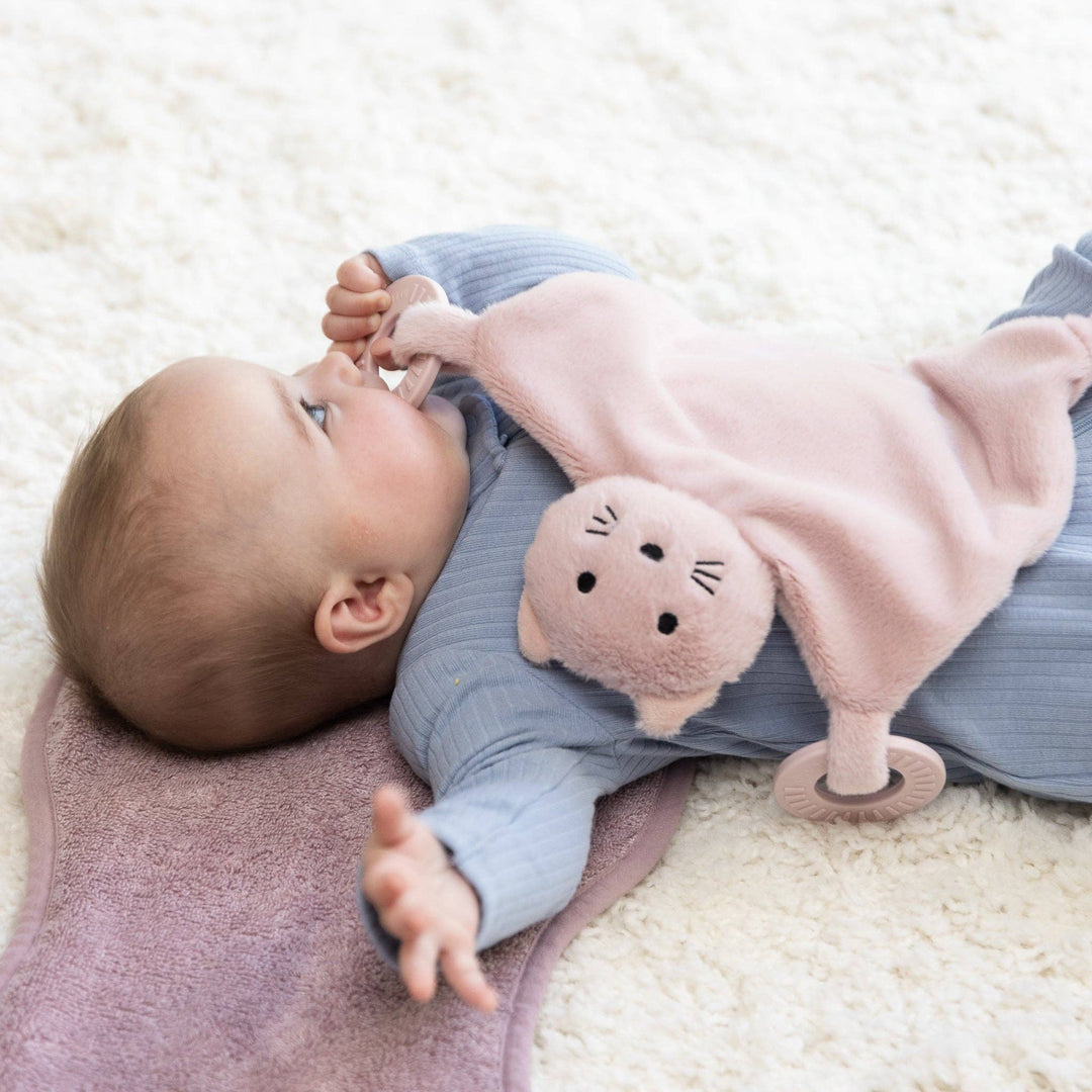 TEETHER BUDDY CHARLOTTE THE CAT