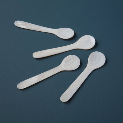 SPOON SEASHELL (Available in 3 Sizes)