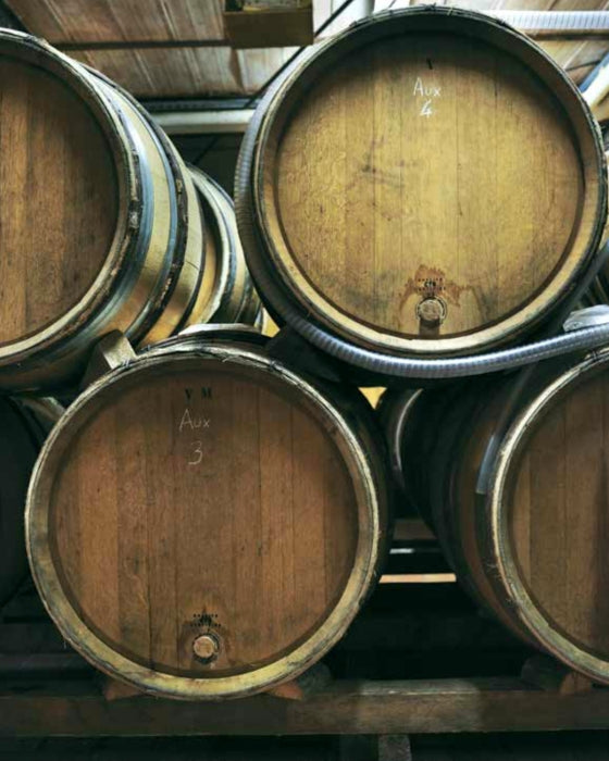 BOOK "SOMMELIER'S ATLAS OF TASTE" #70441