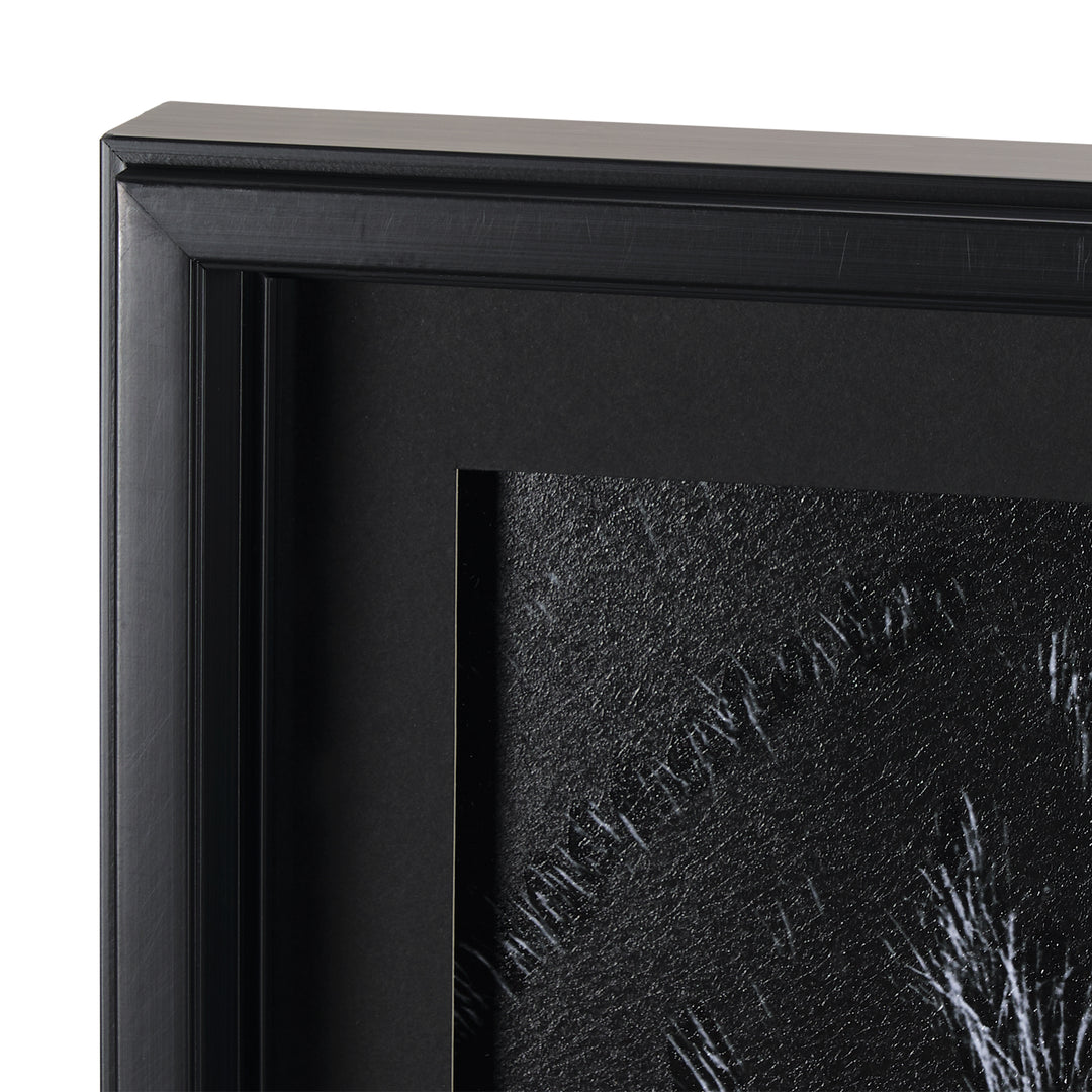 ART ZEBRA'S EYE #70377