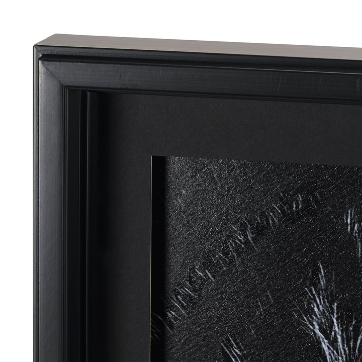 ART ZEBRA'S EYE #70377