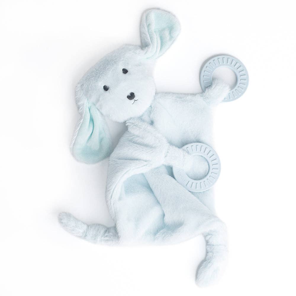 TEETHER BUDDY DANNY THE DOG