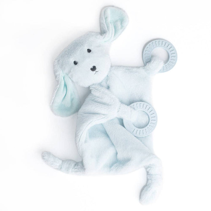 TEETHER BUDDY DANNY THE DOG