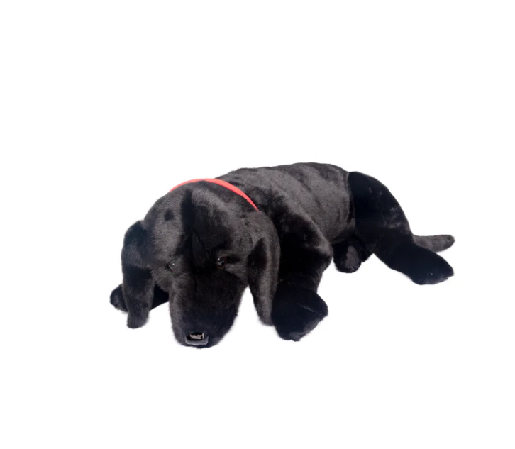 LAP DOG BLACK LAB #40902