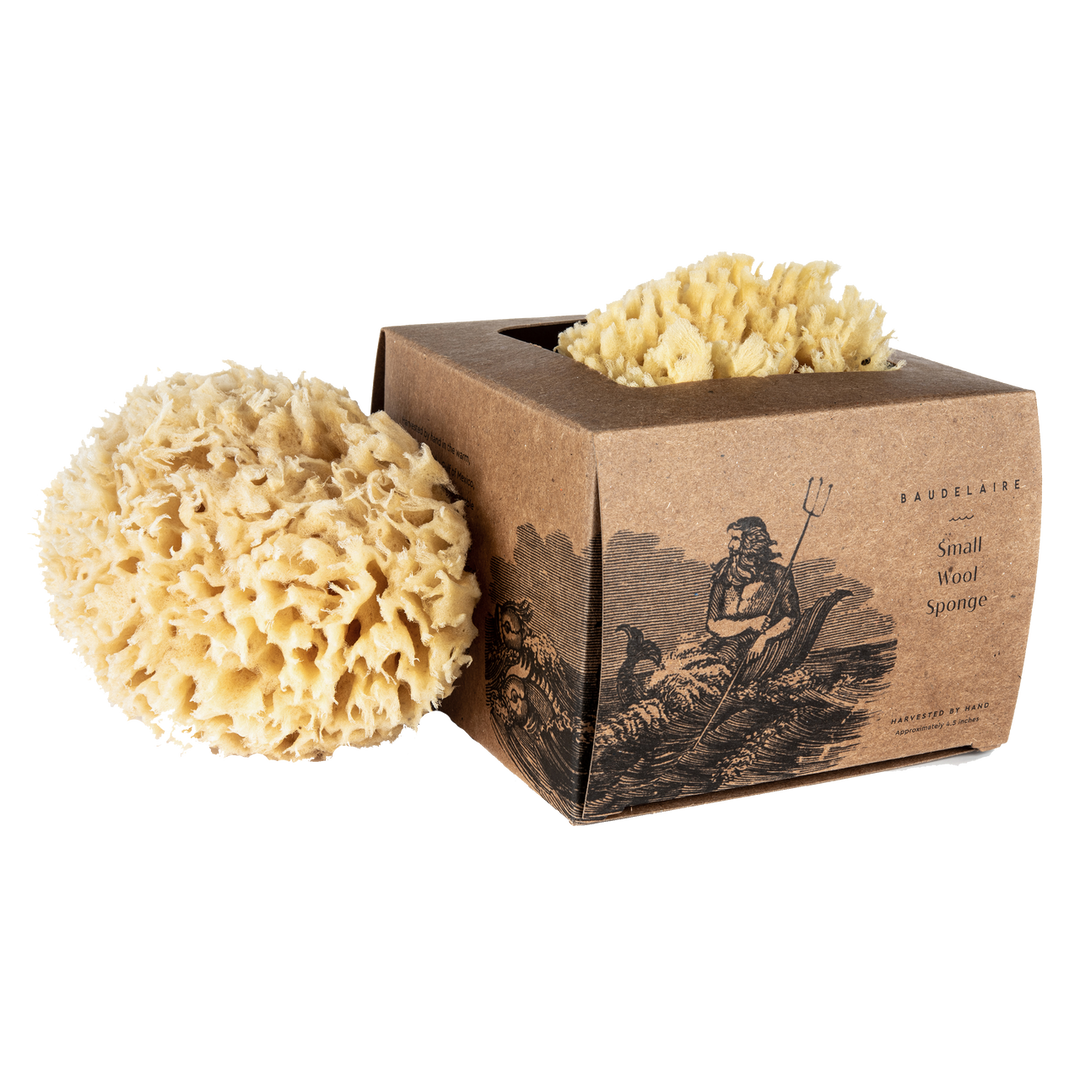 SPONGE WOOL BOXED SMALL #41542