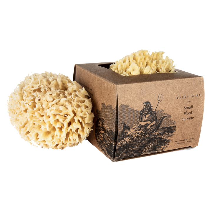 SPONGE WOOL BOXED SMALL #41542