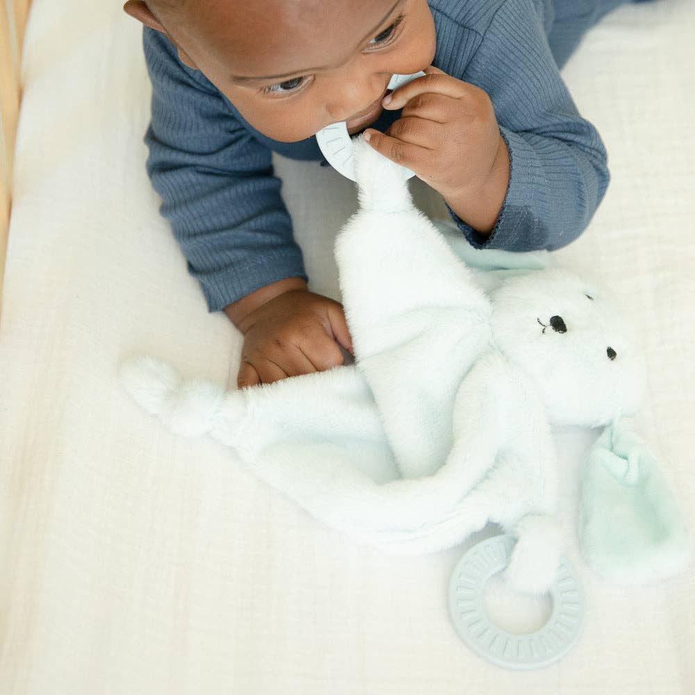 TEETHER BUDDY DANNY THE DOG