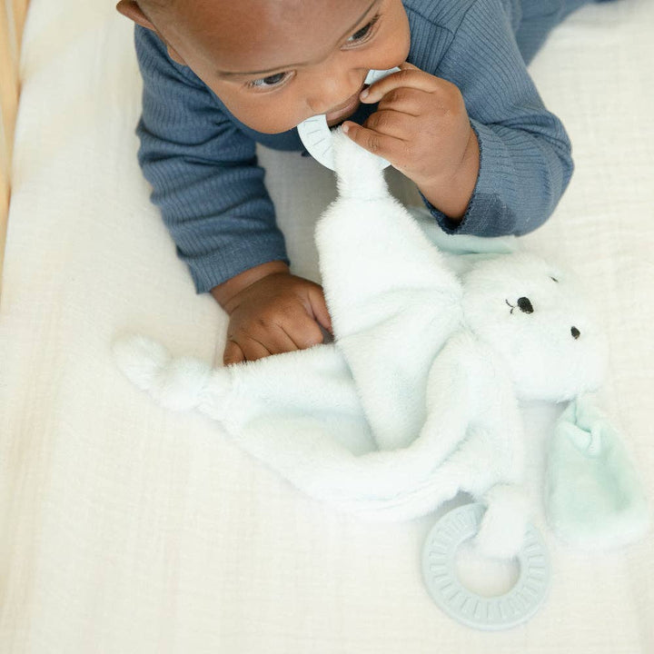 TEETHER BUDDY DANNY THE DOG