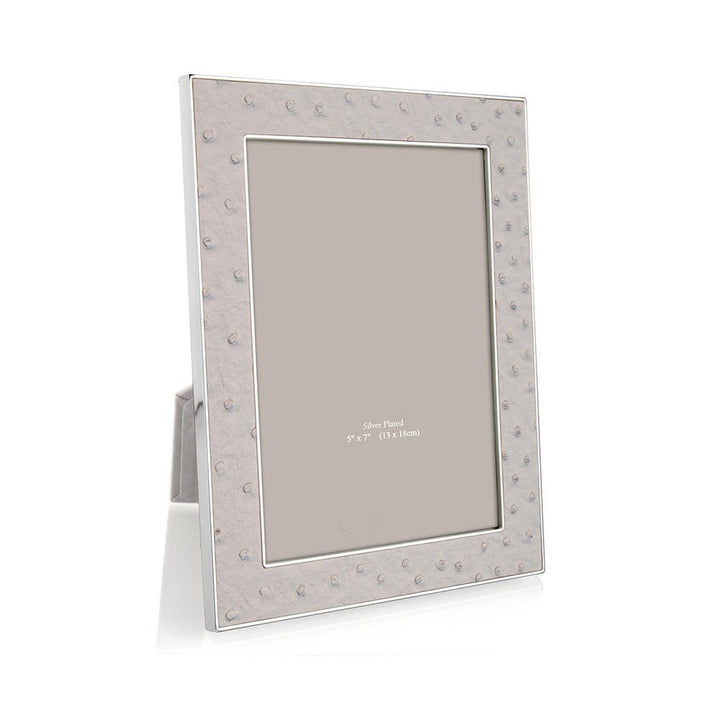 FRAME MIST OSTRICH & SILVER