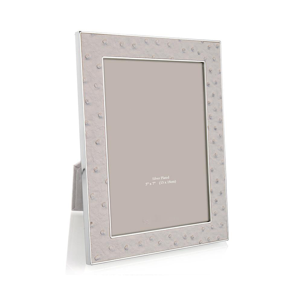 FRAME MIST FAUX OSTRICH & SILVER (Available in 2 Sizes)
