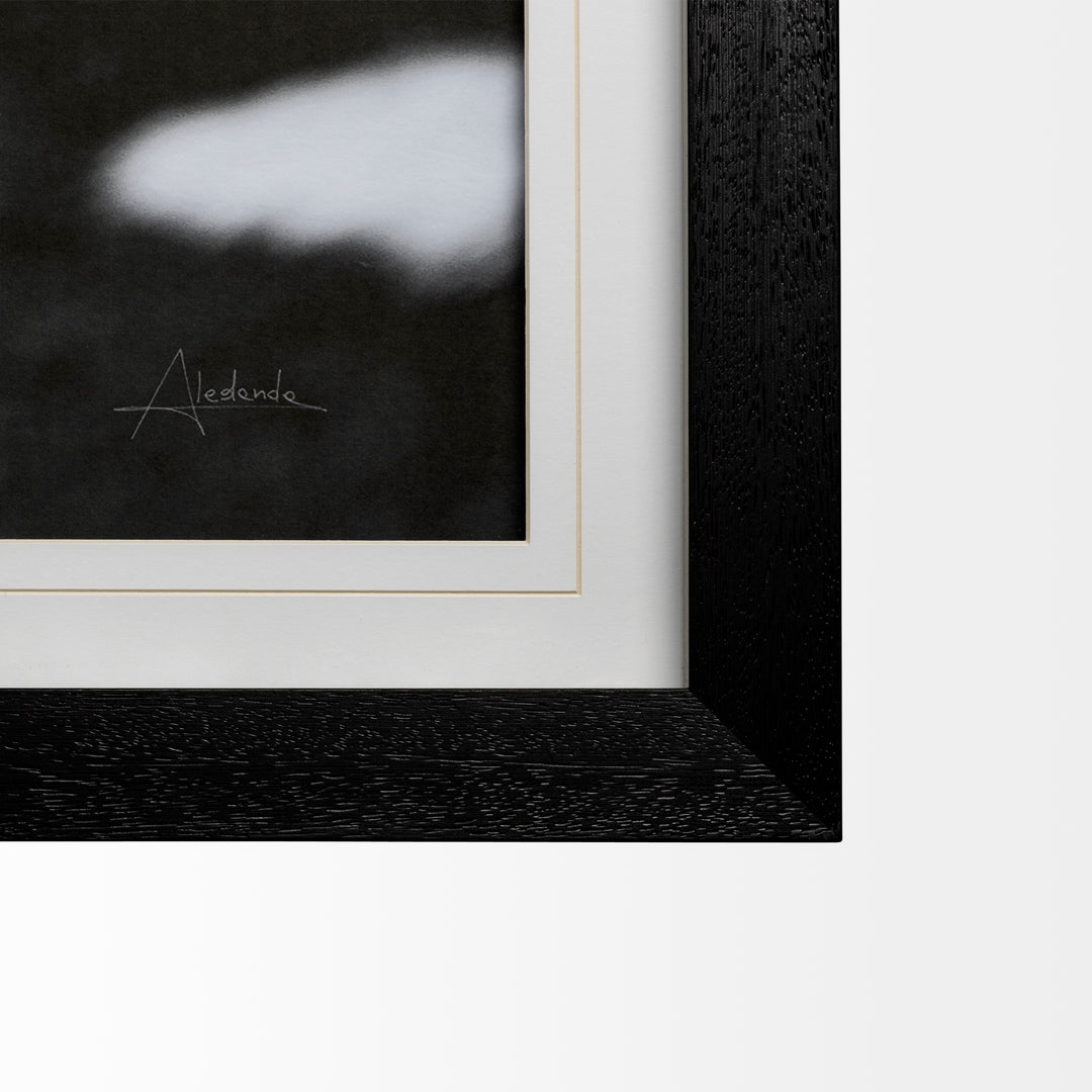 ART FLIRTING EQUINE #45724