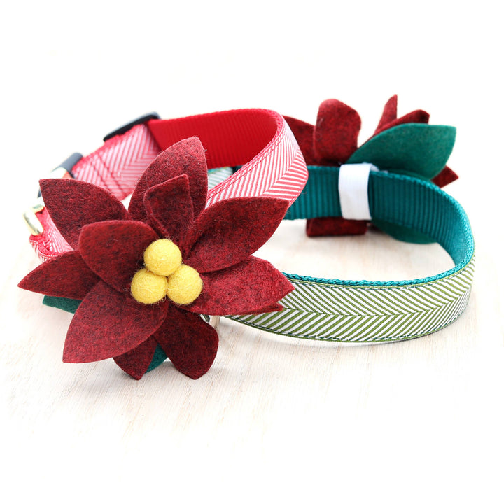 DOG COLLAR FLOWER POINSETTIA