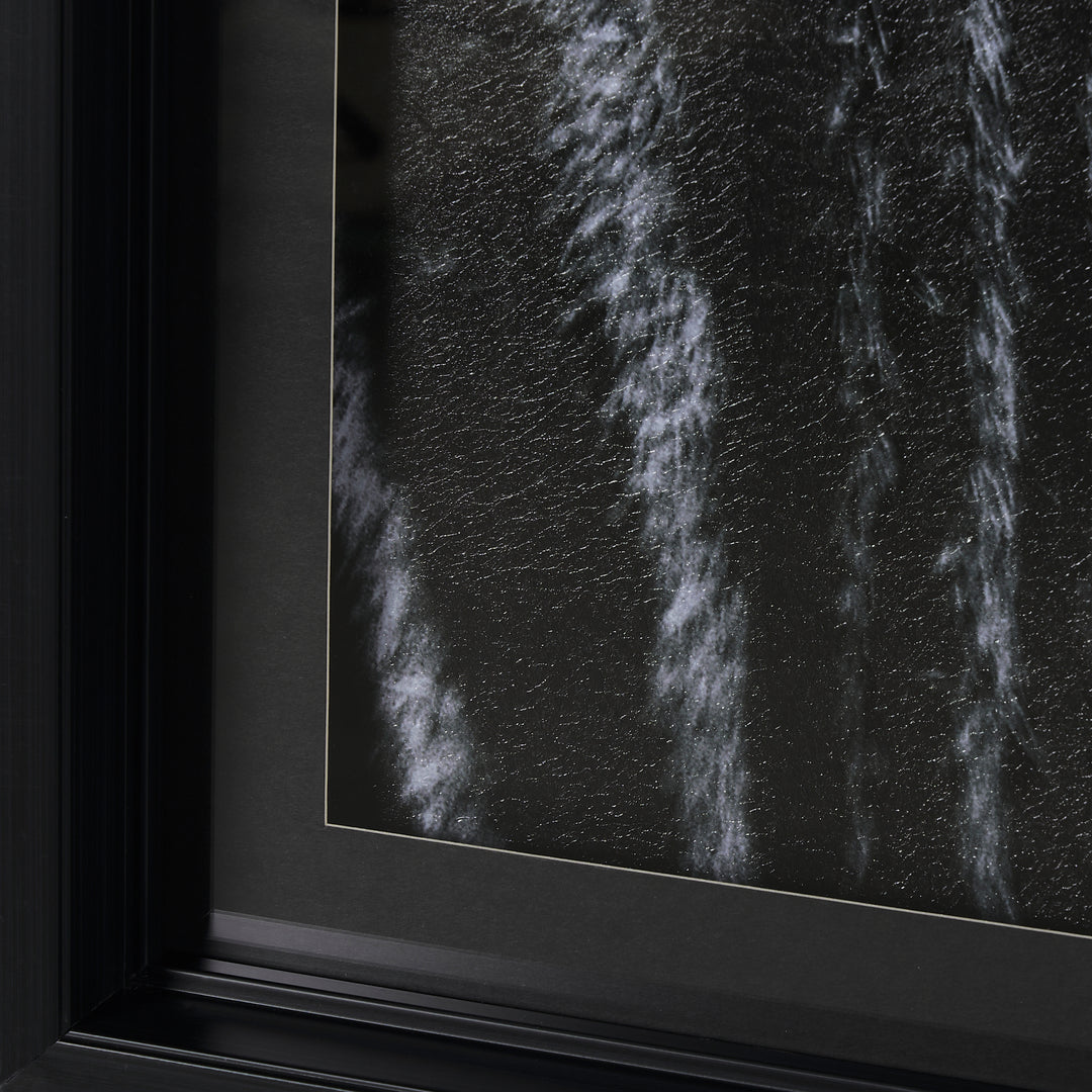 ART ZEBRA'S EYE #70377