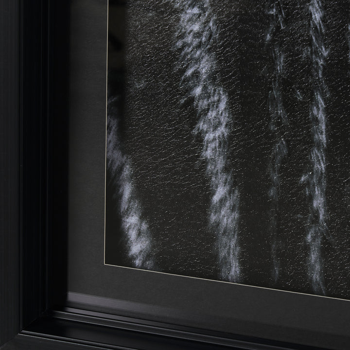 ART ZEBRA'S EYE #70377