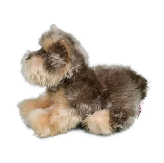 TOY YORKIE