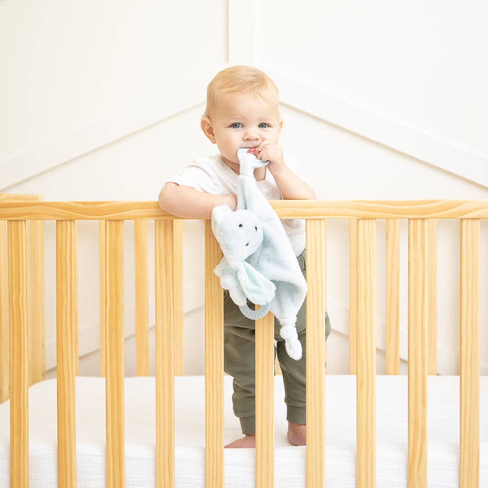 TEETHER BUDDY DANNY THE DOG