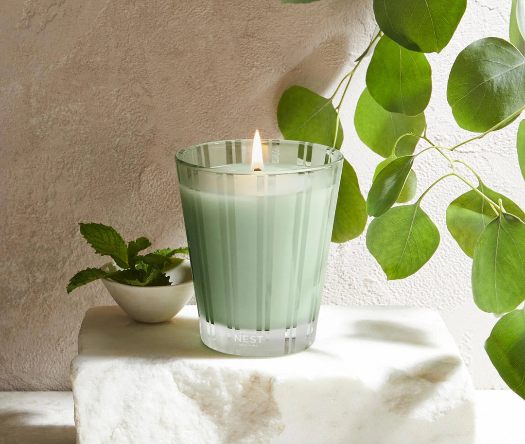 CANDLE WILD MINT & EUCALYPTUS