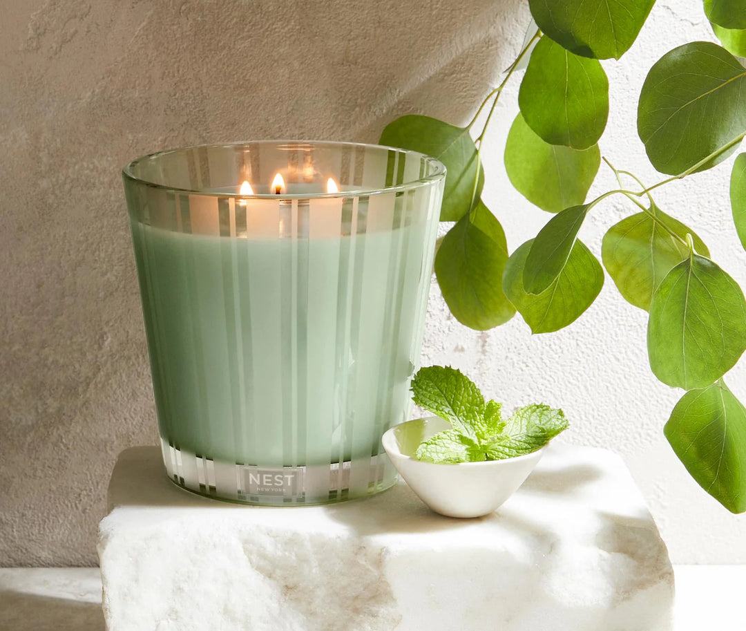 CANDLE WILD MINT & EUCALYPTUS