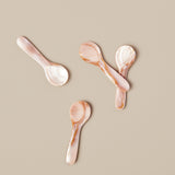 SPOON PINK & BROWN SEASHELL