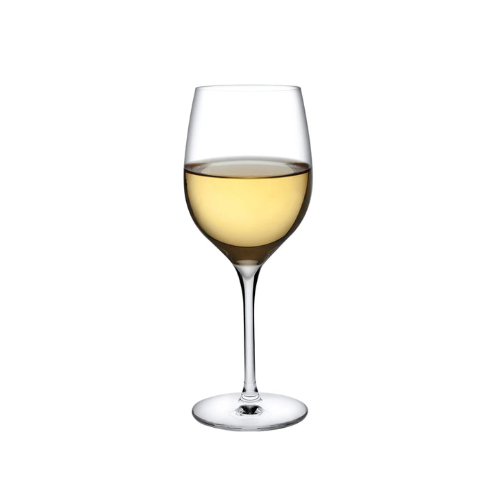 WINE GLASS WHITE TERROIR #55192