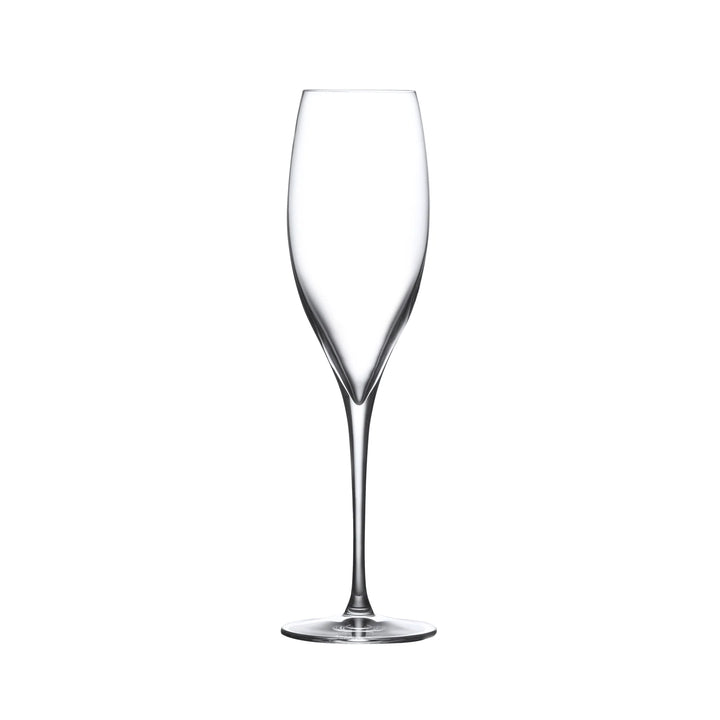 GLASS CHAMPAGNE FLUTE TERROIR #55193