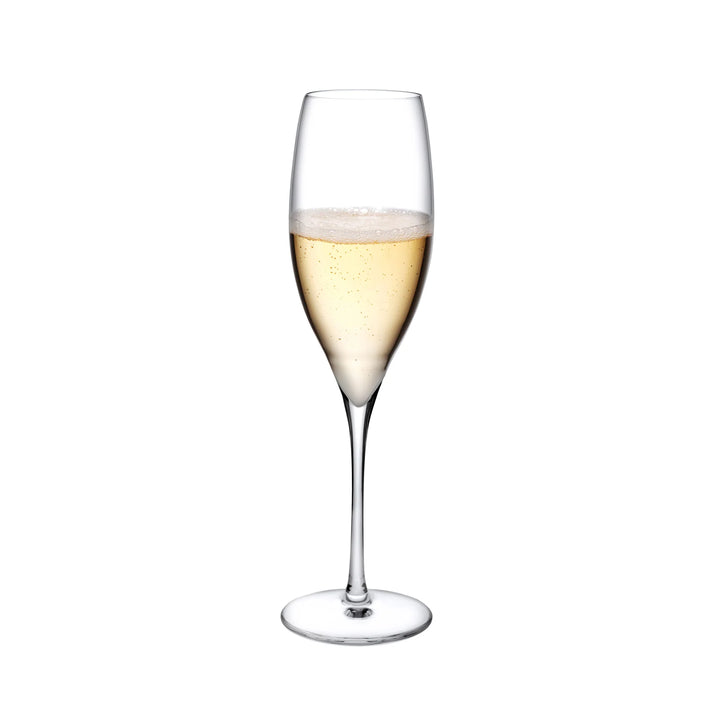 GLASS CHAMPAGNE FLUTE TERROIR #55193