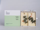 SCENTED WAX TABLETS