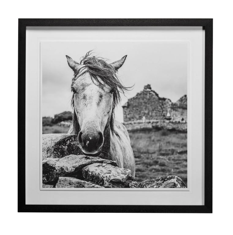 ART IRELAND BLACK & WHITE HORSE