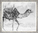 ART CAMEL PALE BLUE