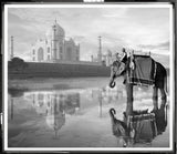 ART ELEPHANT AT TAJ MAHAL