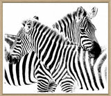 ART ZEBRA HUG