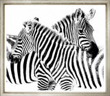ART ZEBRA HUG